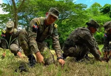 KLK SDE Fuerzas Armadas liderarán siembra de más de 100,000 árboles en jornada nacional por el Día Nacional del Árbol.